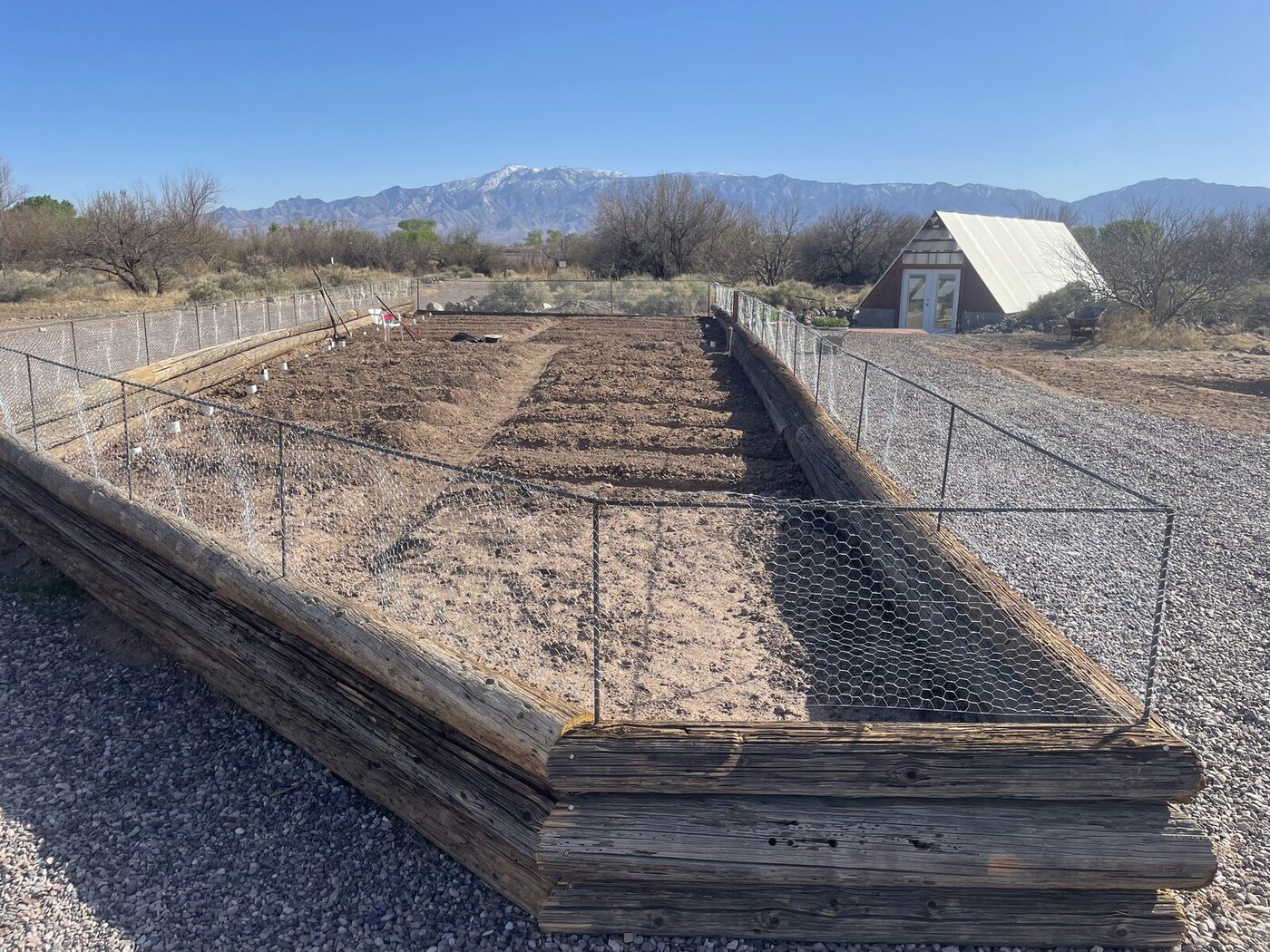 One bed, marked out and fenced before anything went in it. Boring, and it is the reason there was a harvest.